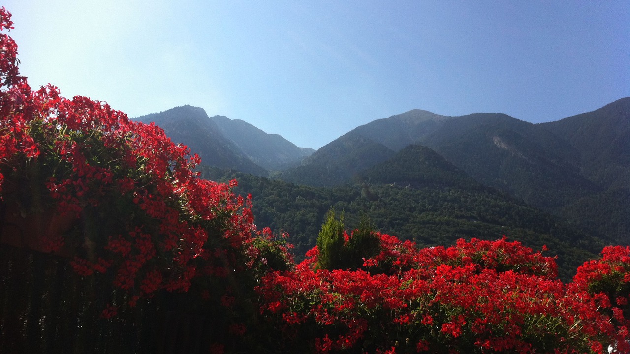 Photo of Others in Andorra la Vella