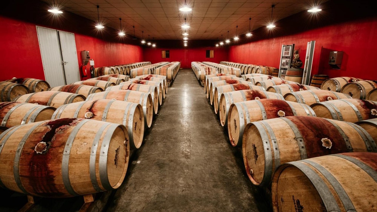 Photo of Others in Avensan