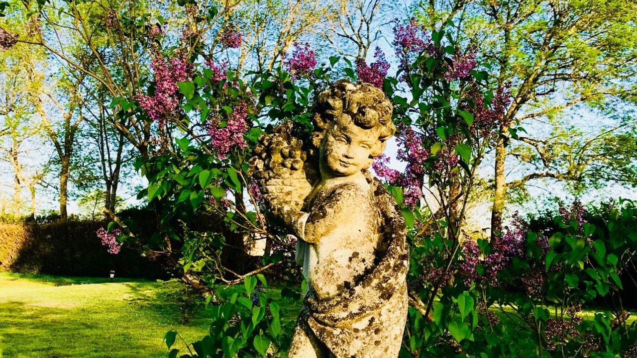 Photo of Outdoor in Avensan