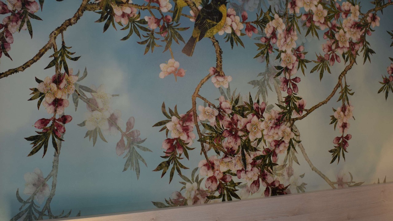 Photo of Others in Etrelles