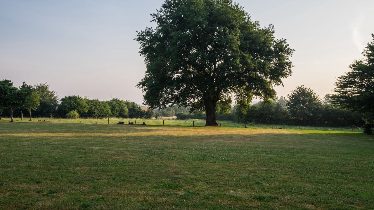 Photo of Outdoor in Saulges