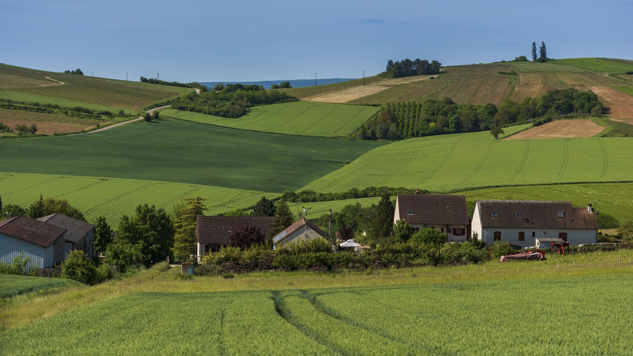 Photo of Outdoor in Moneteau