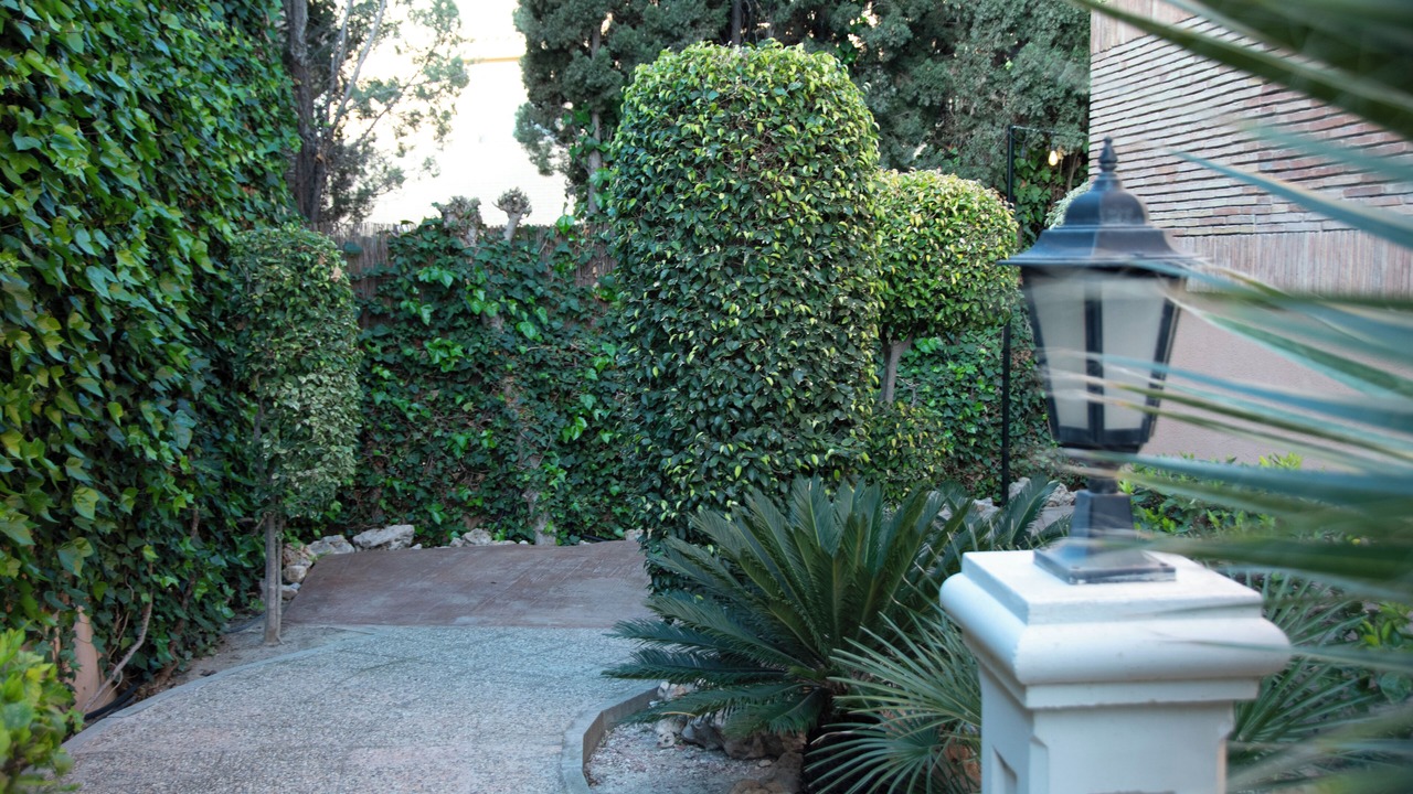 Photo of Outdoor in Cabo de las Huertas