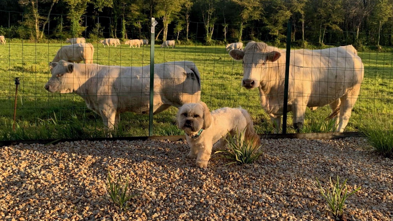 Photo of Outdoor in Lannion
