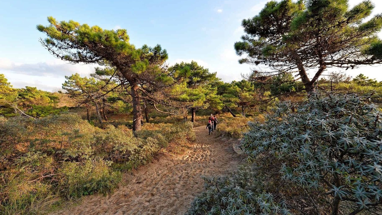 Photo of Others in Ambleteuse