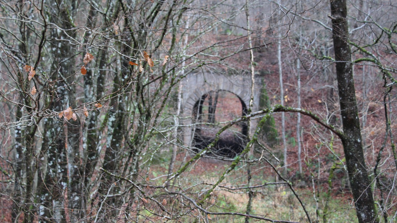 Photo of Outdoor in Meisenthal