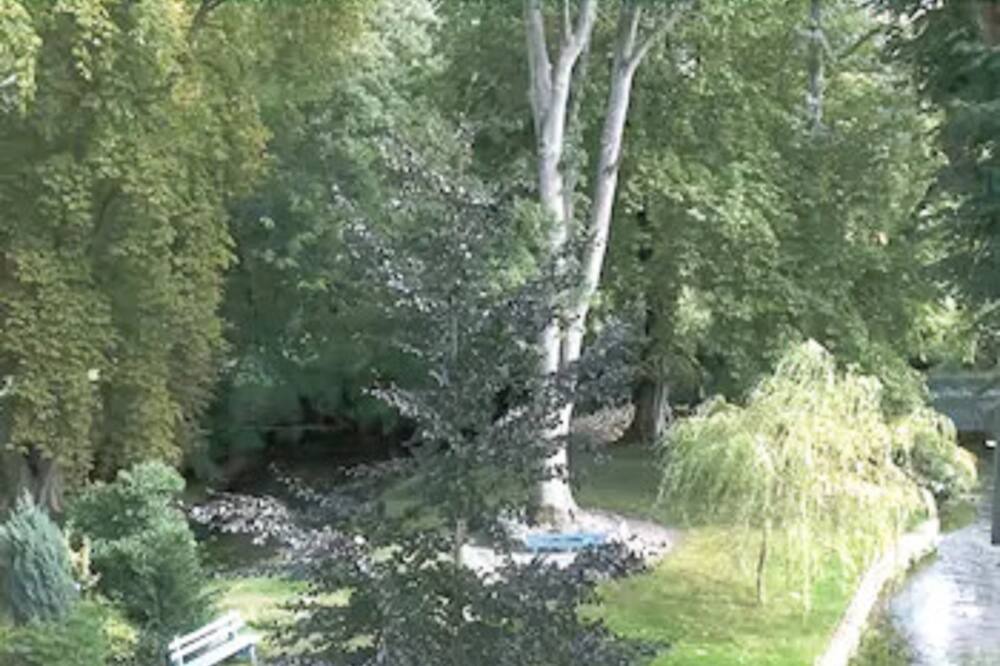 Photo of Outdoor in Saint-Omer-en-Chaussee