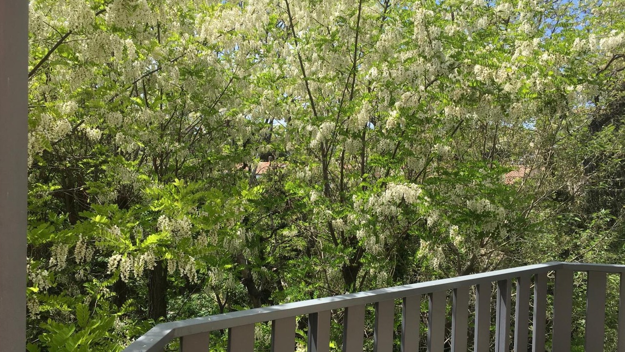 Photo of Patio Balcony in Manosque