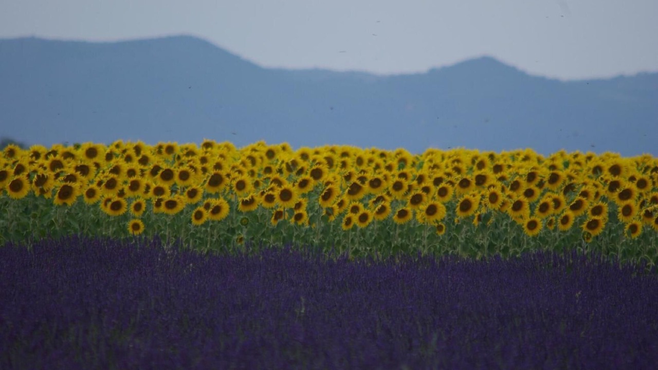 Photo of Outdoor in Manosque