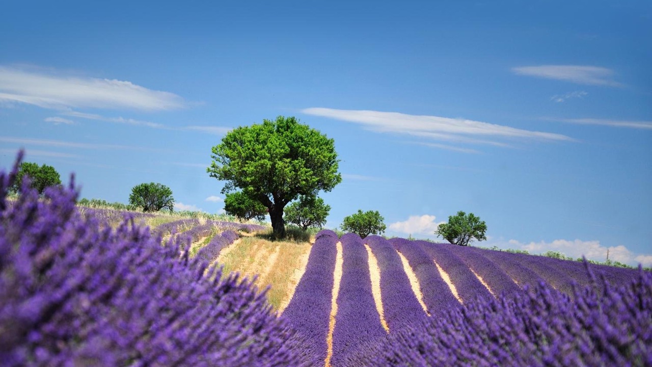 Photo of Outdoor in Manosque