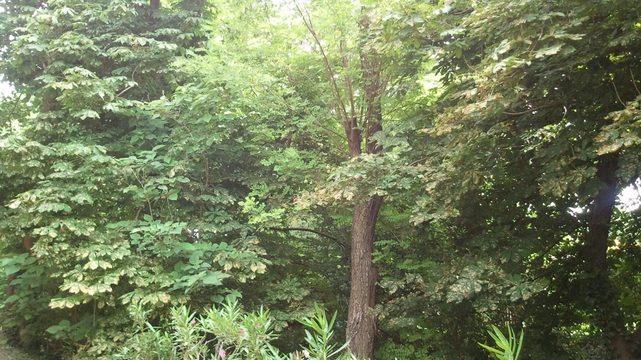 Photo of Outdoor in Manosque