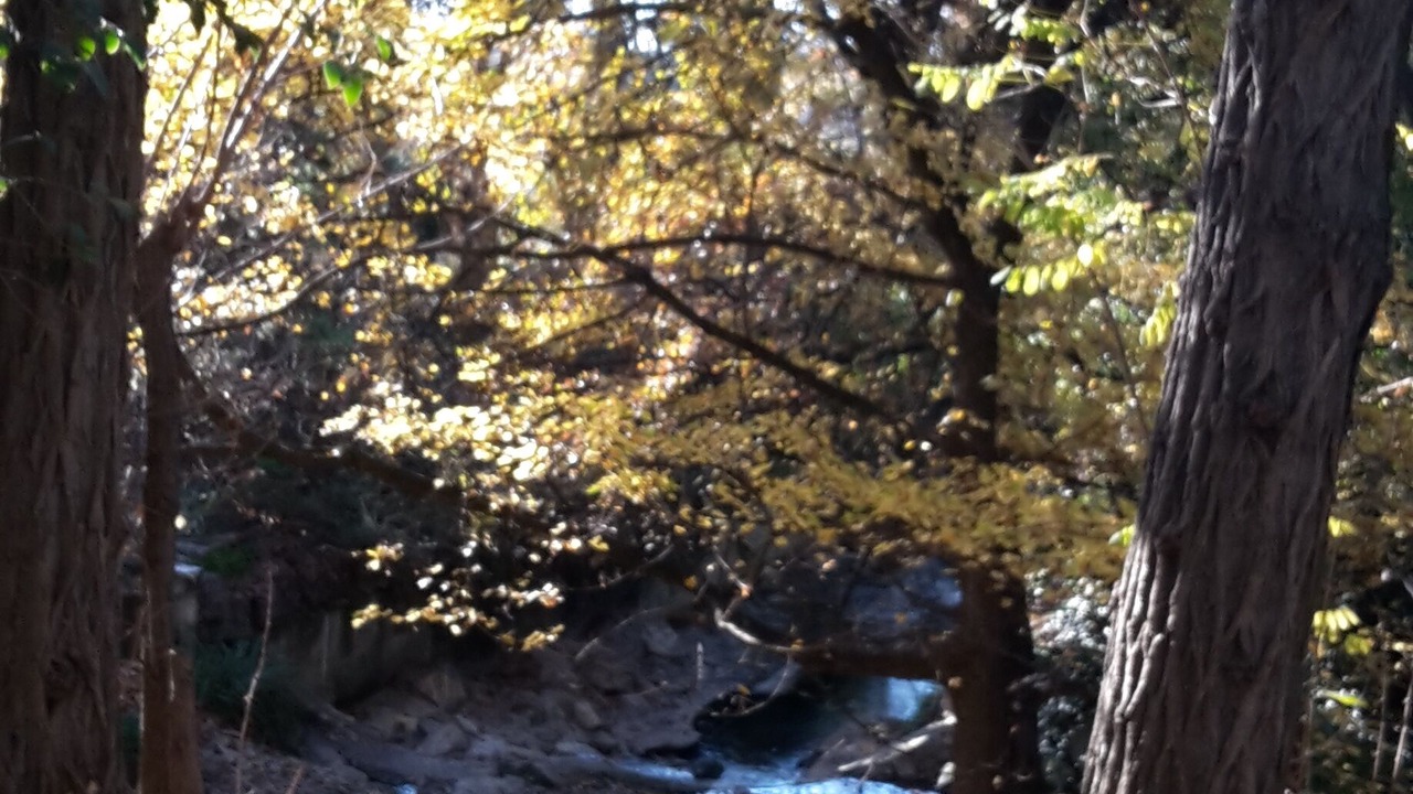 Photo of Outdoor in Manosque
