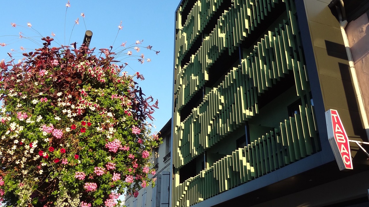 Photo of Outdoor in Tarbes