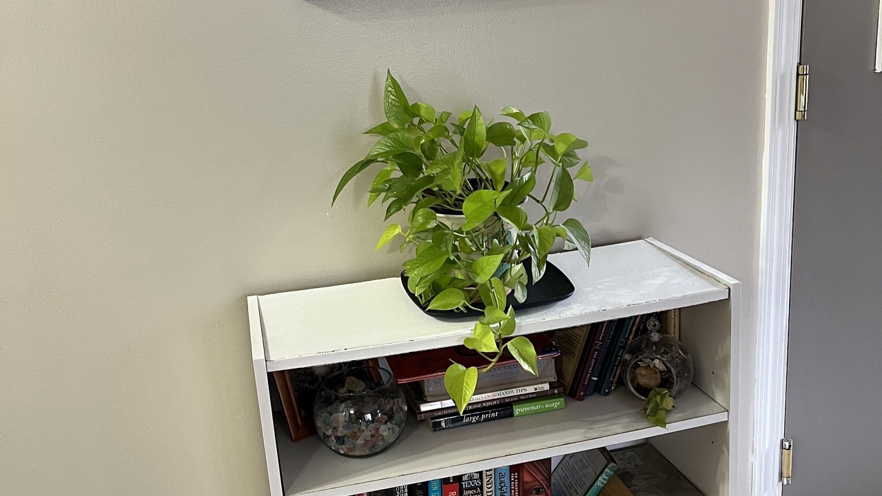 Photo of Others in Oswego