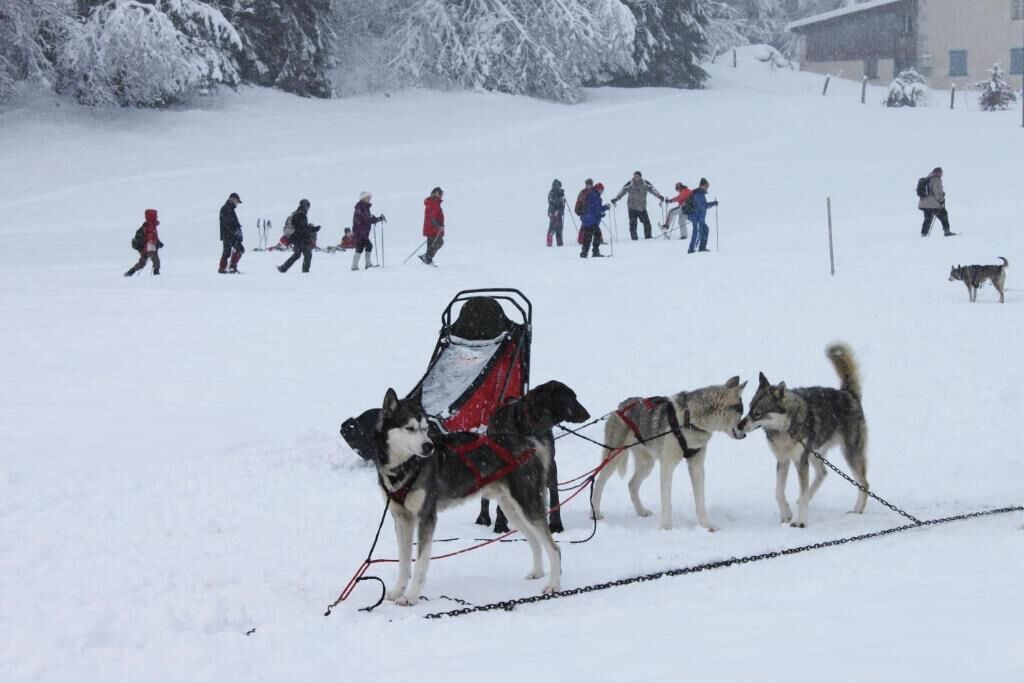 Photo of Others in Premanon