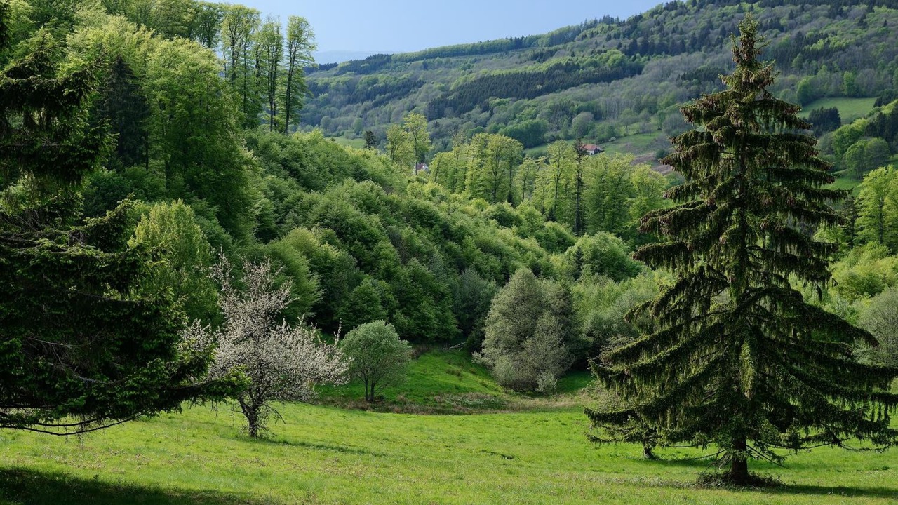 Photo of Outdoor in Saales