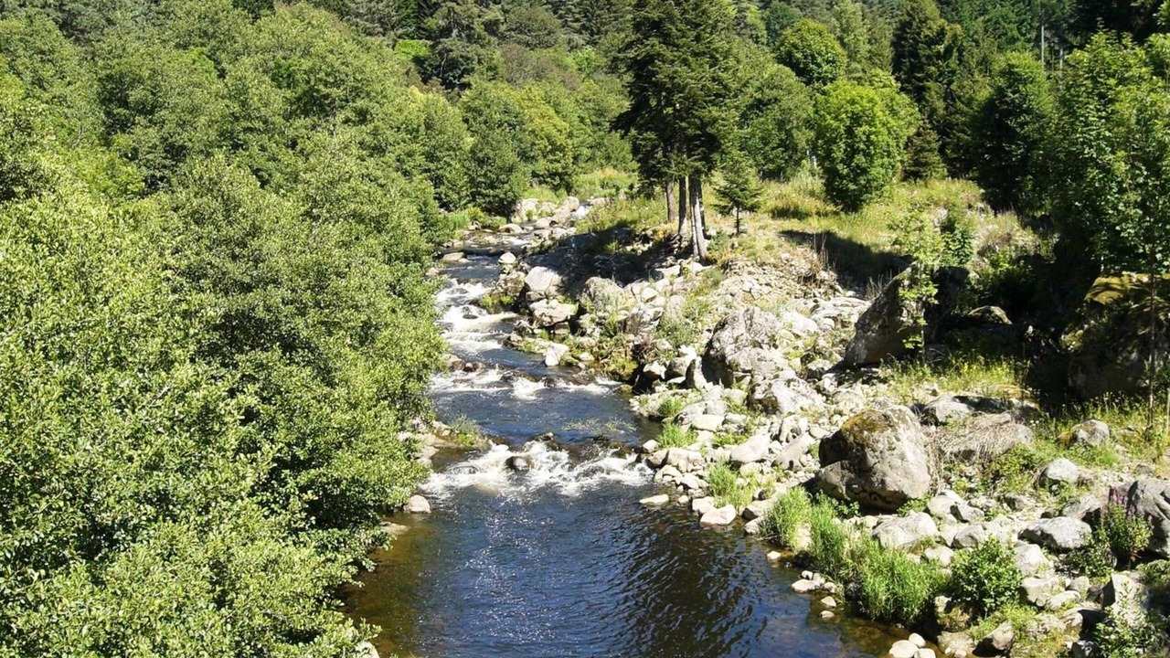 Photo of Outdoor in Tence
