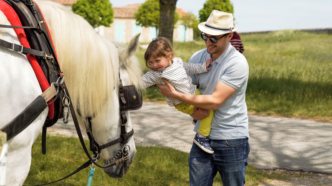 Photo of Outdoor in Sainte-Marie-de-Re