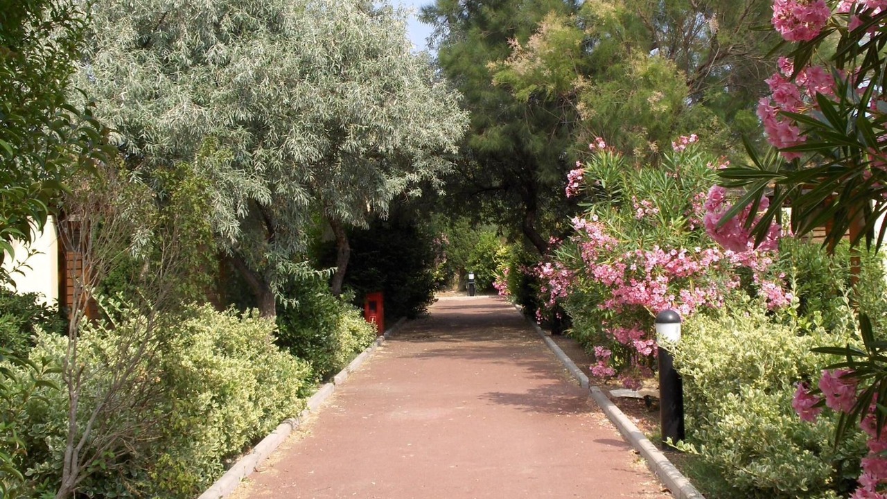 Photo of Outdoor in Sigean