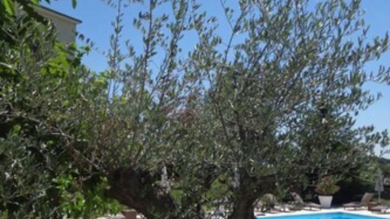 Photo of Outdoor in Saint-Clair
