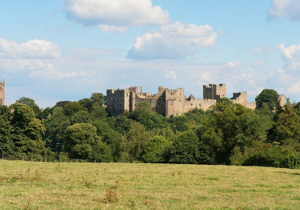 Photo of Others in Ludwel