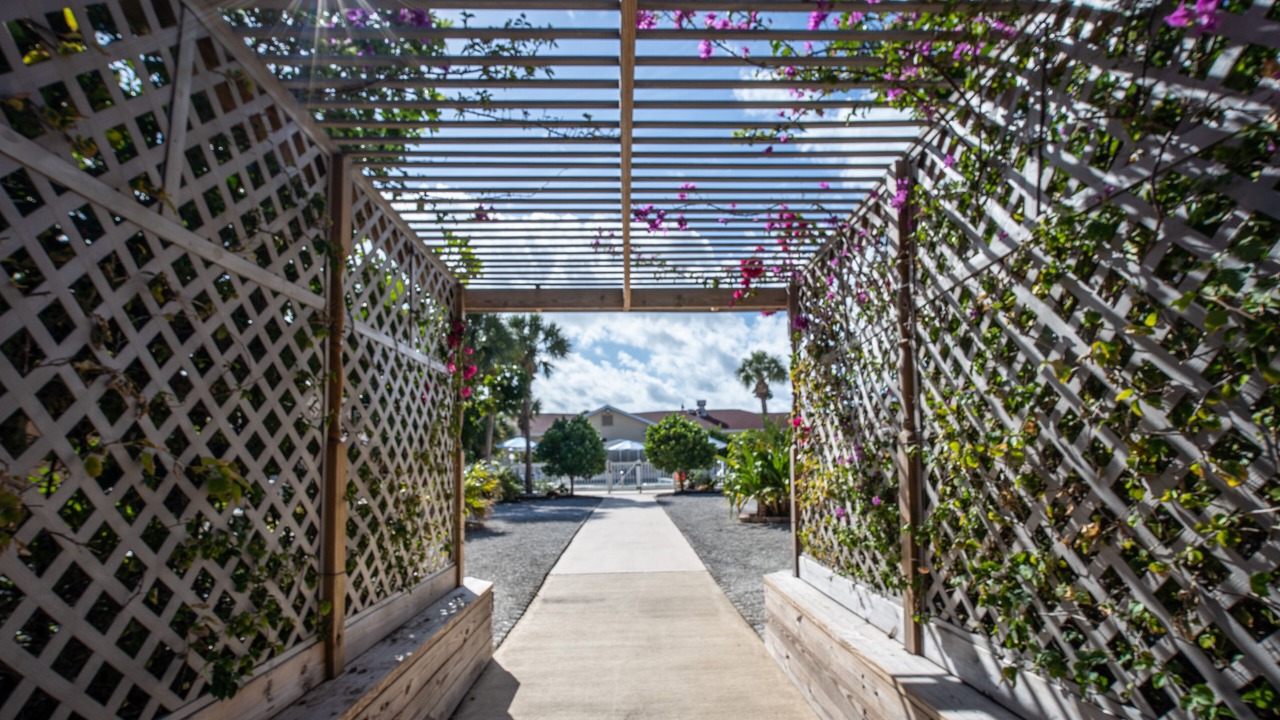 Photo of Outdoor in Venice