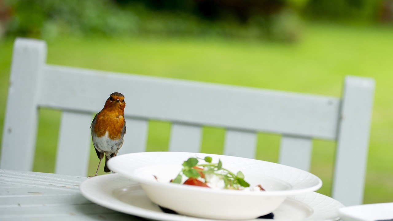 Photo of Others in Oborne