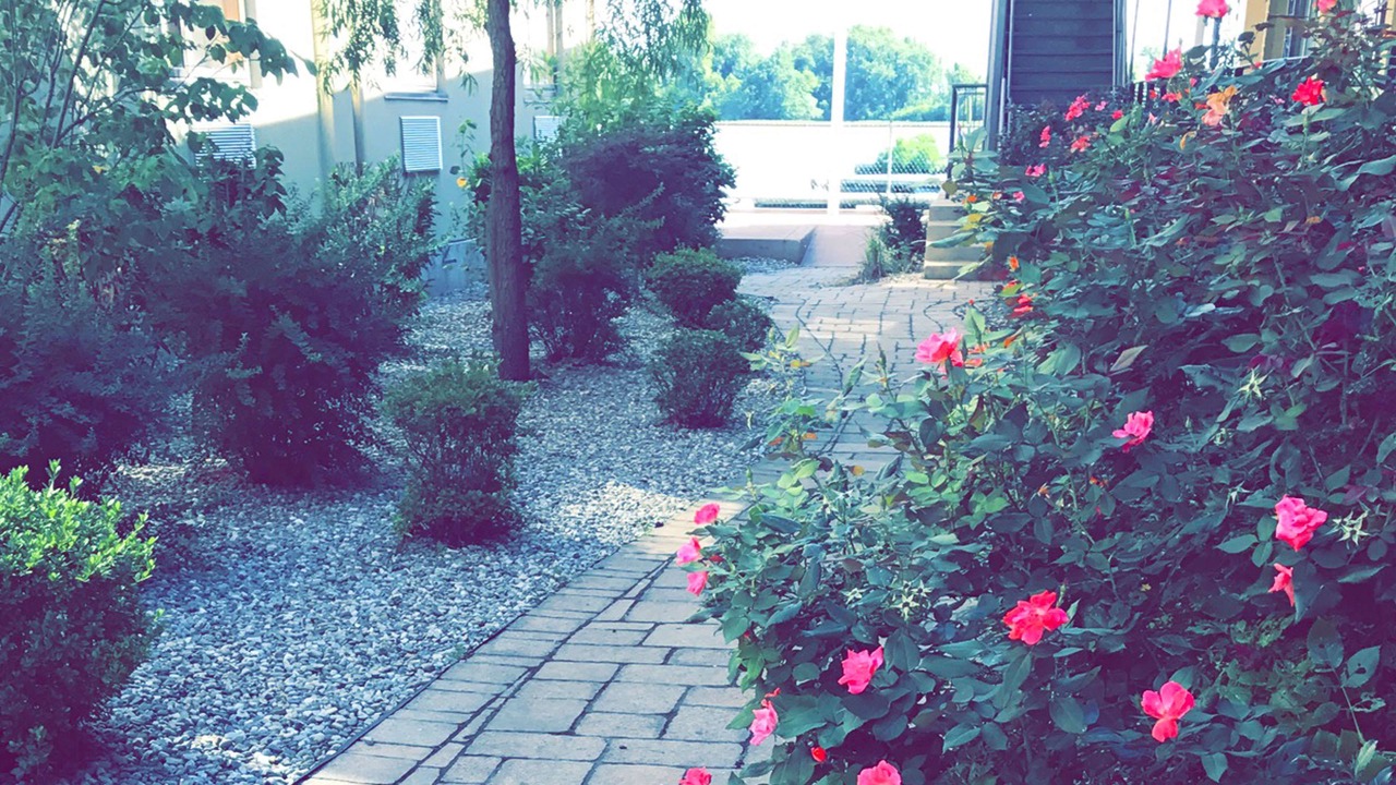 Photo of Outdoor in Essington