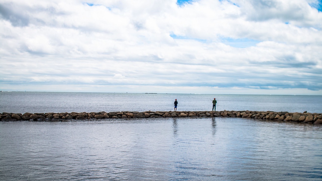 Photo of Others in West Dennis