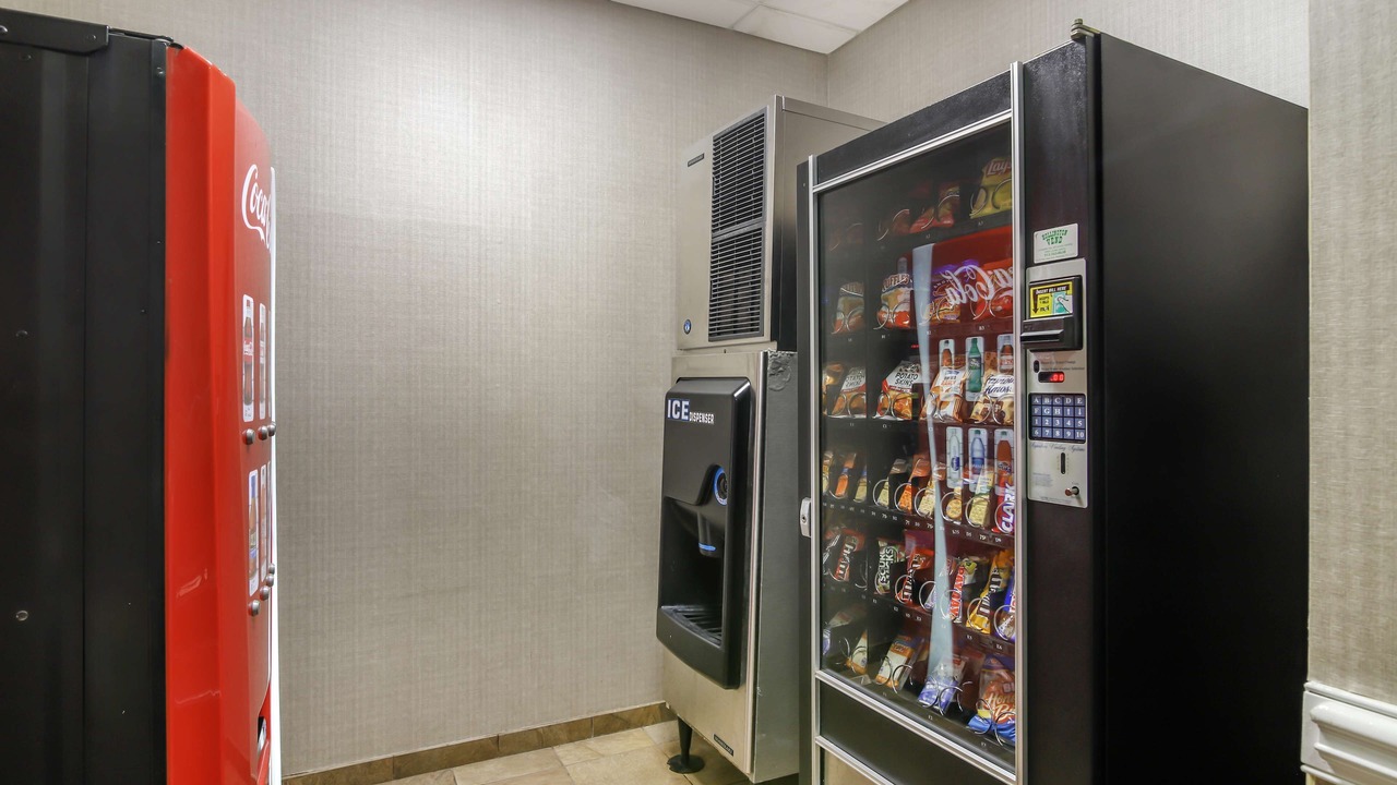 Photo of Others in Brunswick