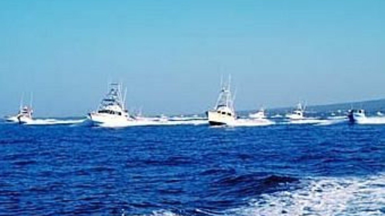 Photo of Others in Kealia