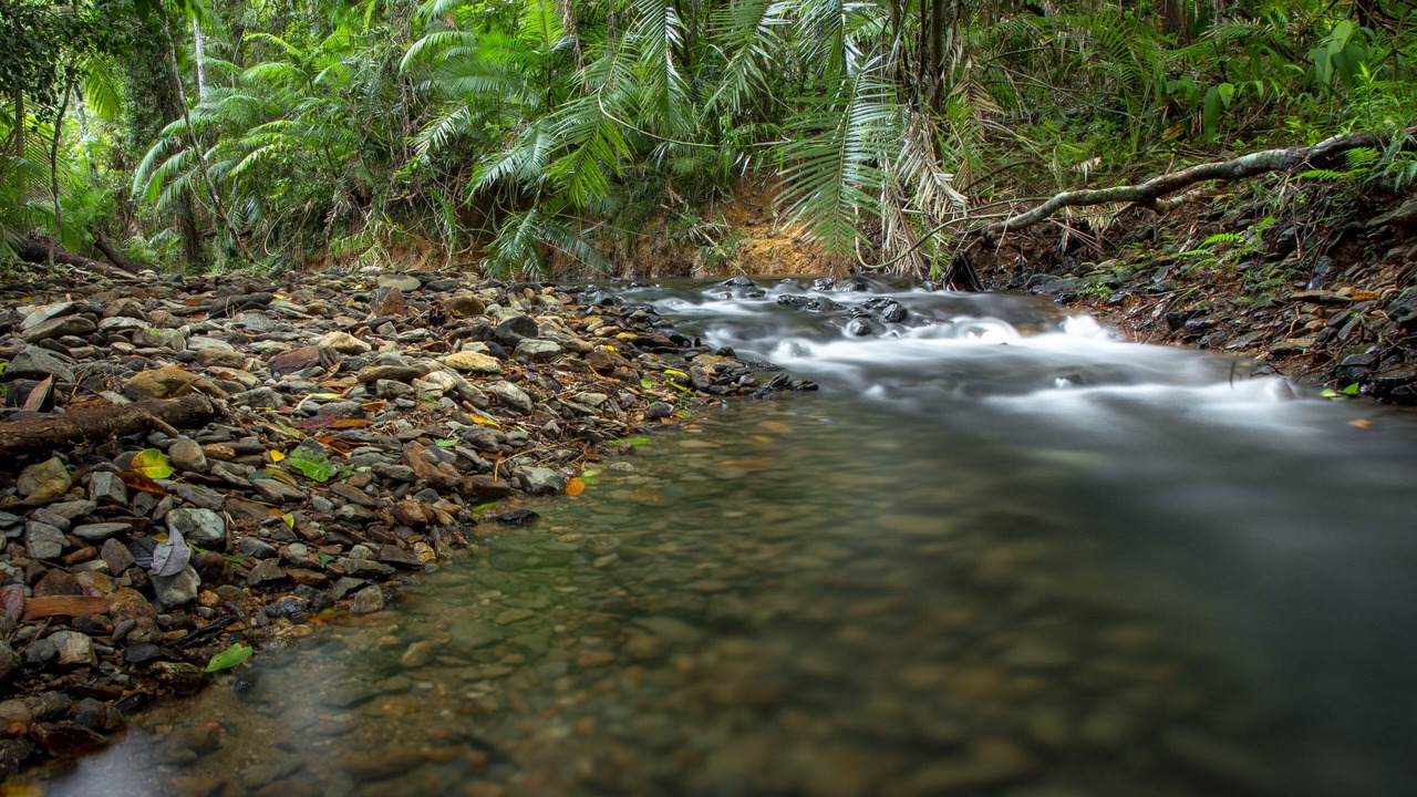 Photo of Outdoor in Diwan
