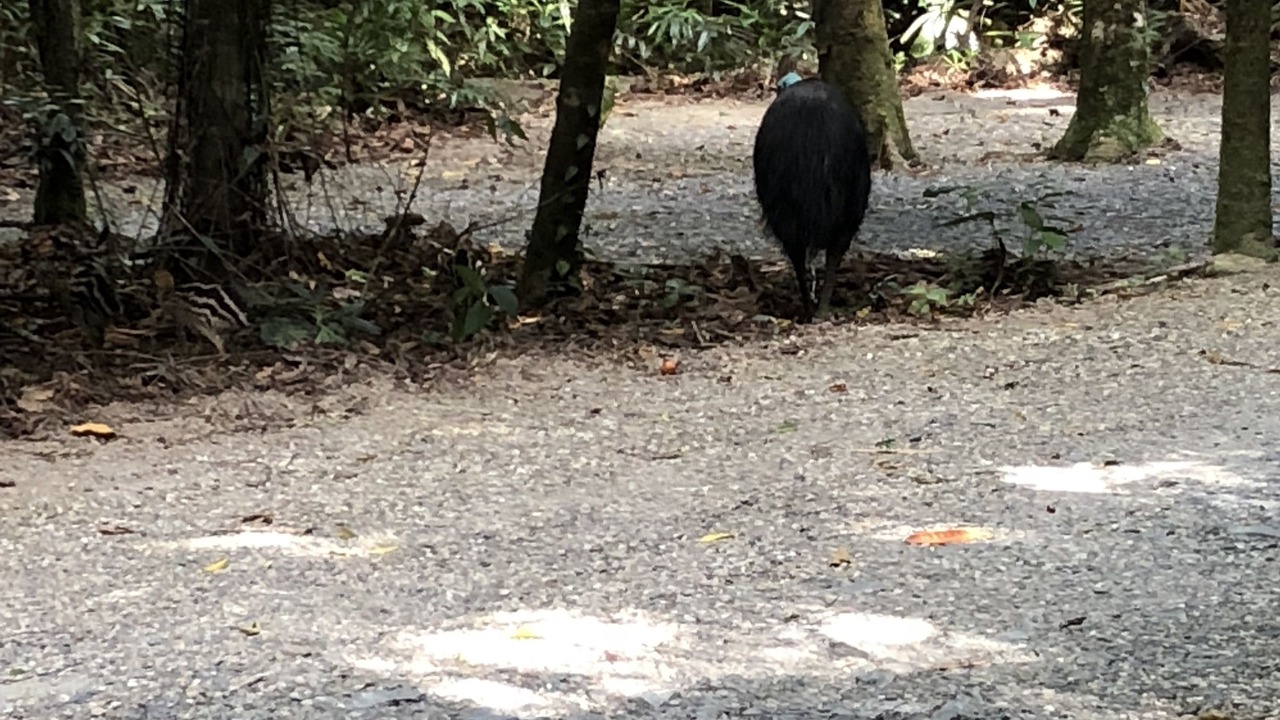 Photo of Others in Diwan