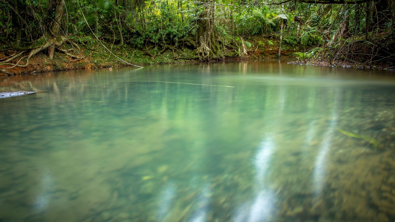 Photo of Outdoor in Diwan