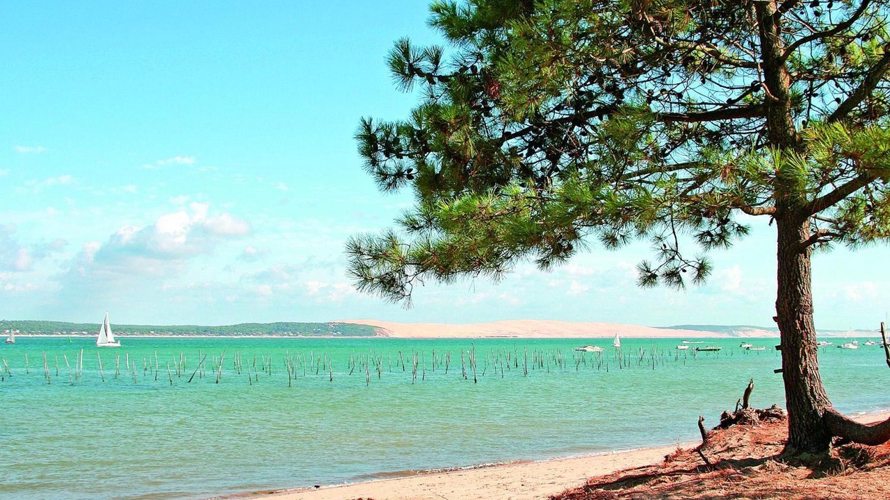 Photo of Others in Claouey