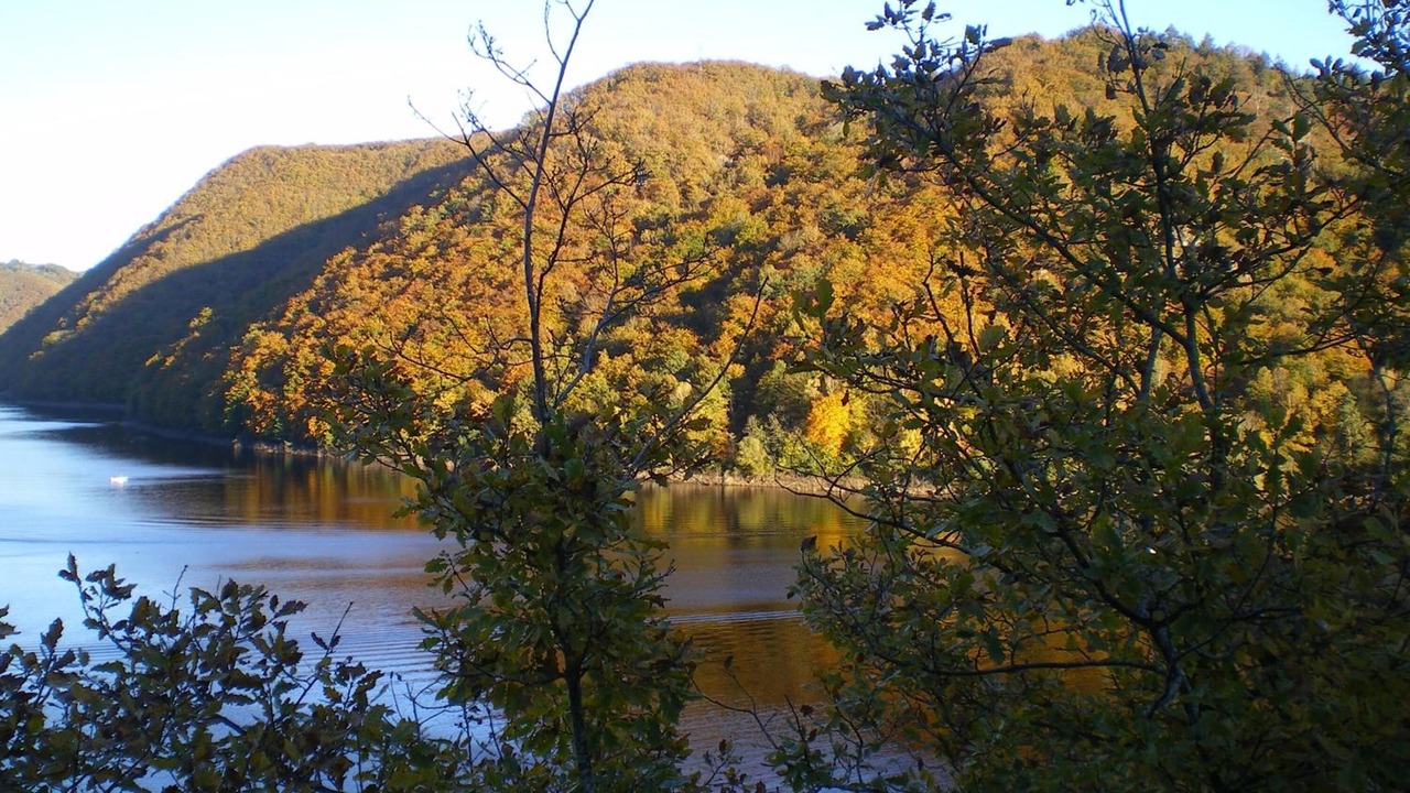 Photo of Outdoor in Neuvic