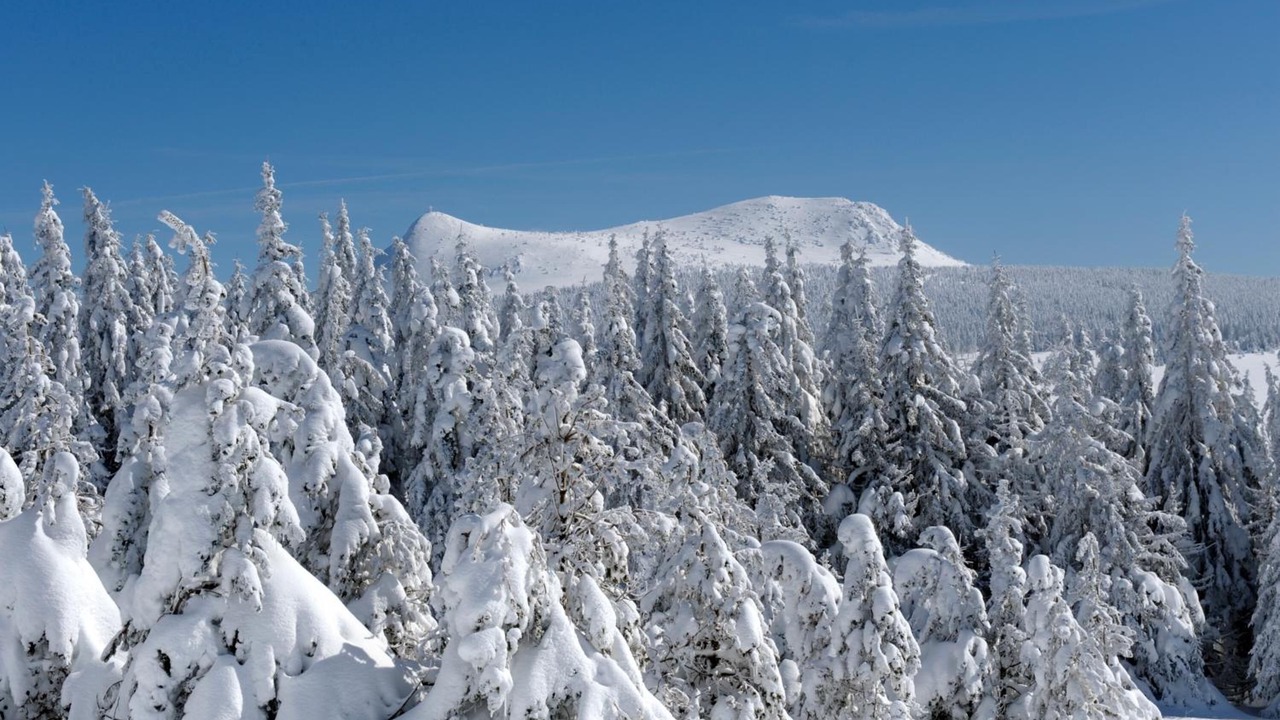 Photo of Outdoor in Les Estables