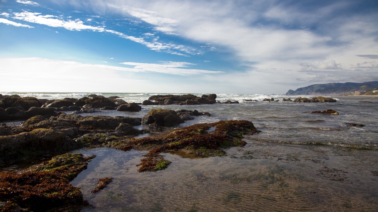 Photo of Others in Lincoln City