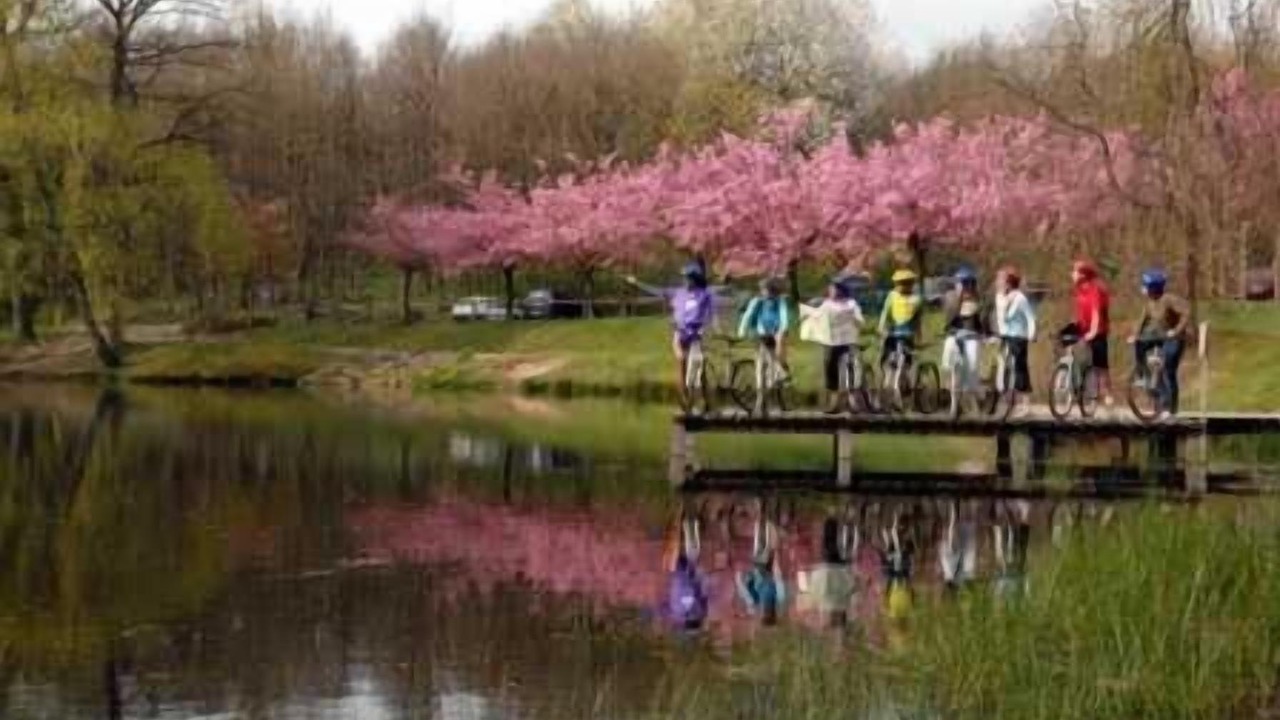 Photo of Outdoor in Bitche