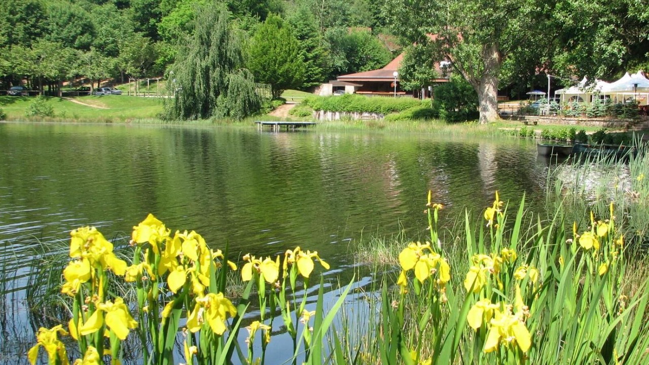 Photo of Outdoor in Bitche