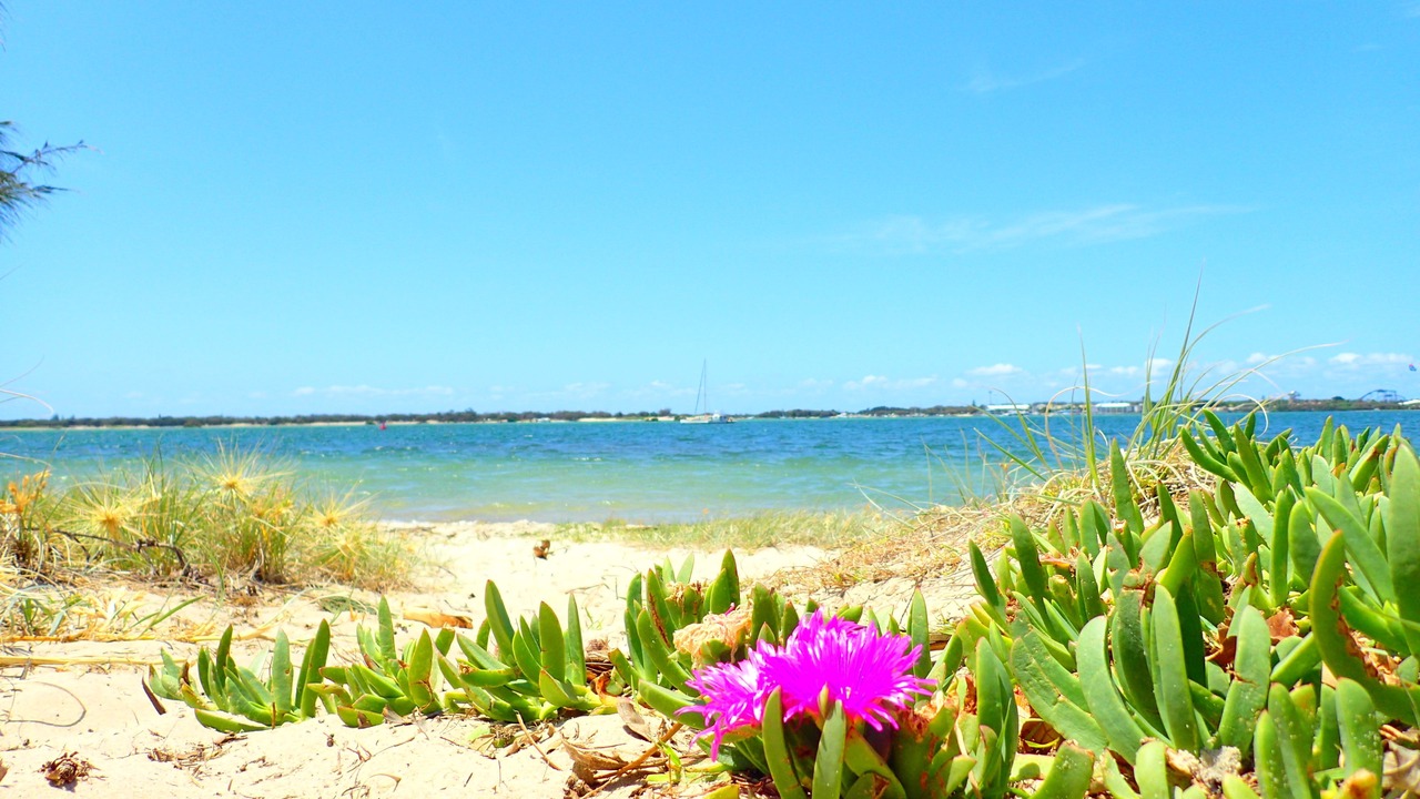 Photo of Others in Labrador