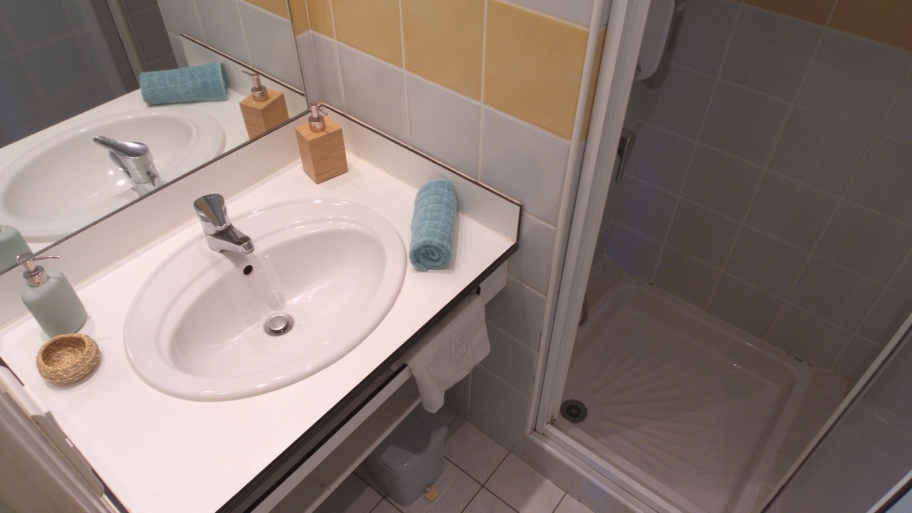 Photo of Bathroom in Florac