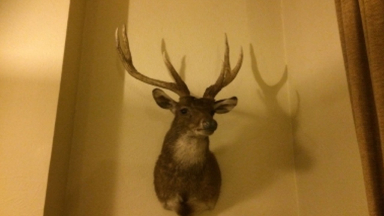 Photo of Others in Broken Hill