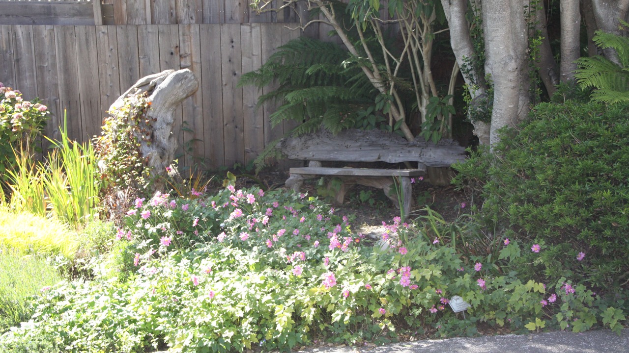 Photo of Outdoor in Mendocino