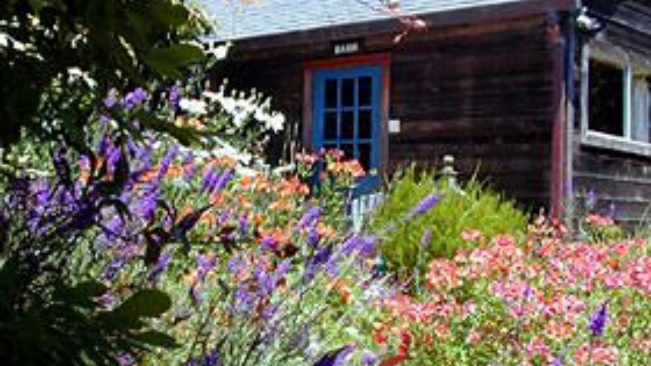 Photo of Others in Mendocino