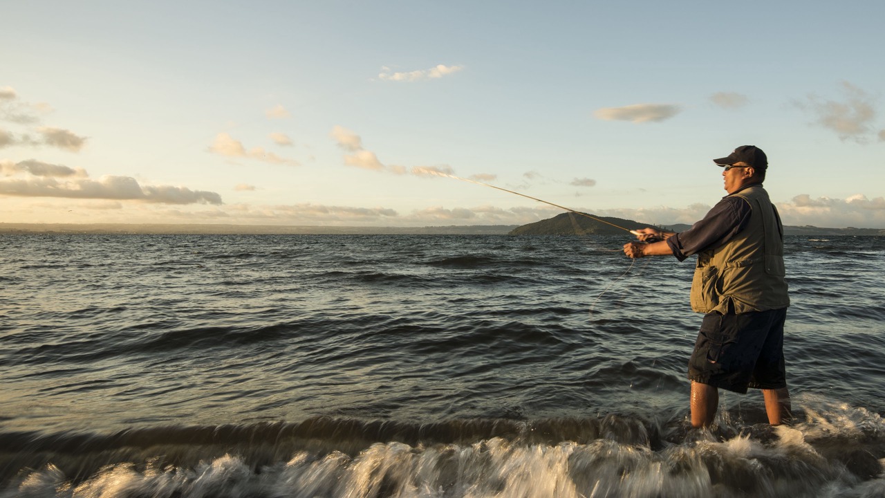 Photo of Outdoor in Holdens Bay