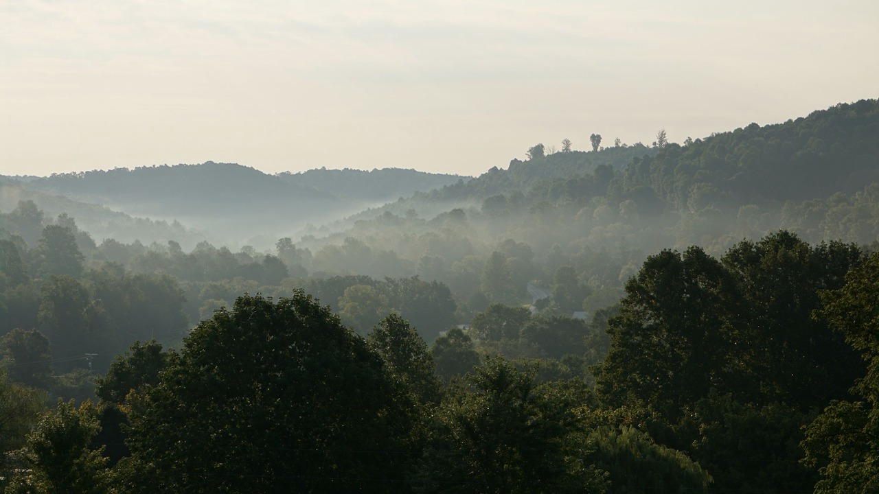 Photo of Others in Mount Vernon