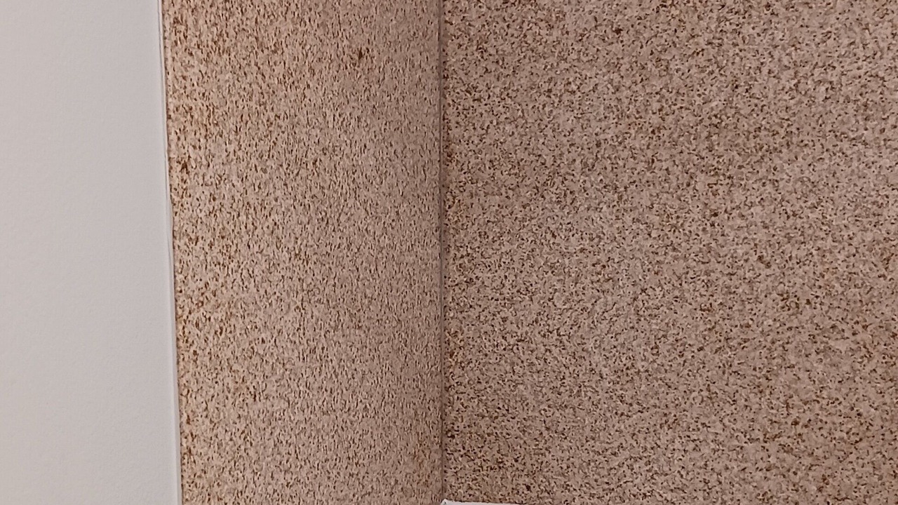 Photo of Others in Longview