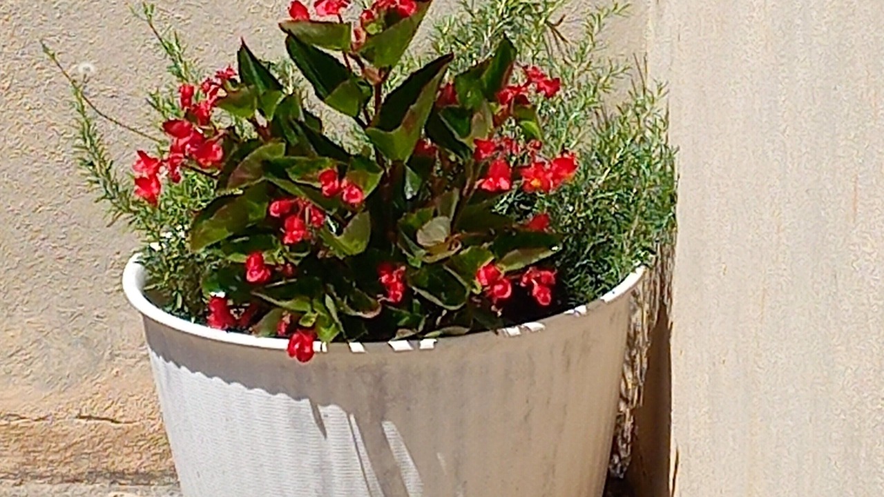 Photo of Outdoor in Pertuis