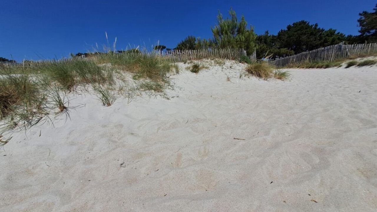 Photo of Outdoor in Carnac